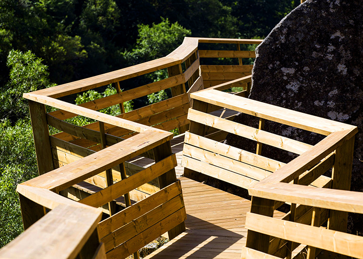 paiva-walkways-11.jpg