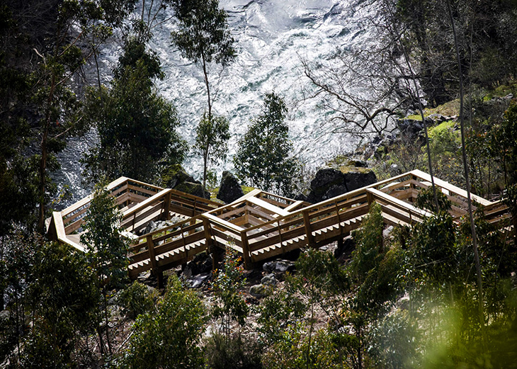 paiva-walkways-9.jpg