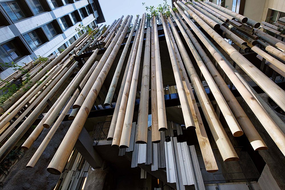 plp106.jpg