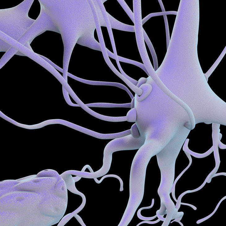 Neuronal_Network_half_page.jpg