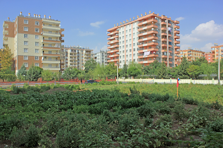 haber içi 2.jpg