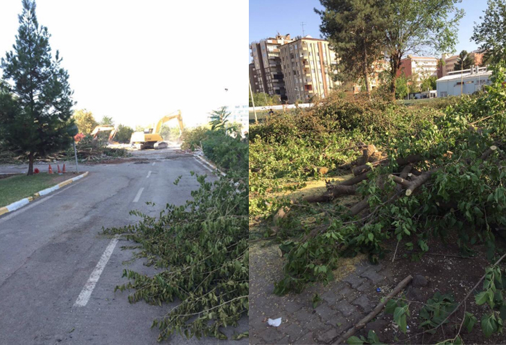 karayolları.jpg