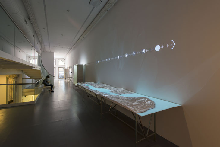 DSD_2555.jpg