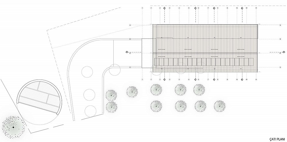 3-STATERA-SARAPHANE-Cati-Plan.jpg