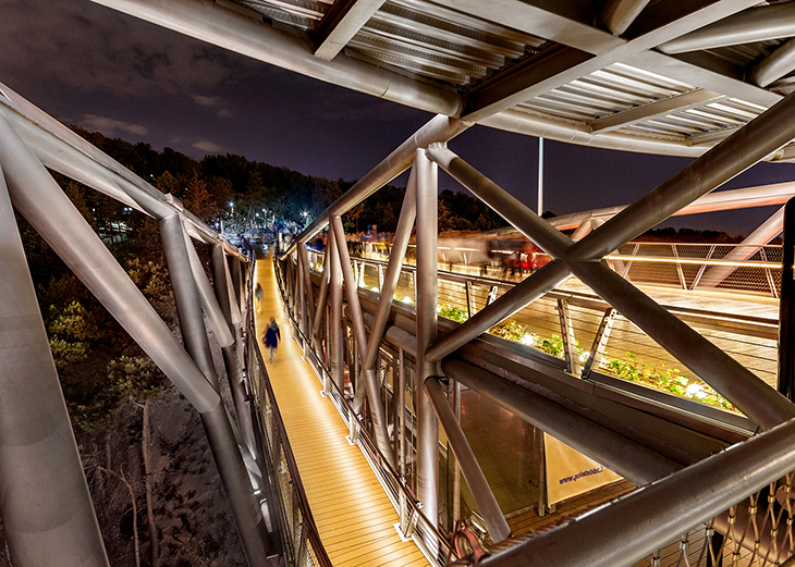 Tabiat_Bridge (4).jpg