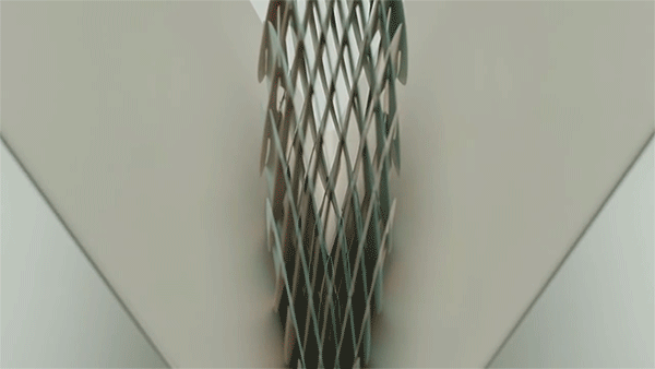 tauba-2