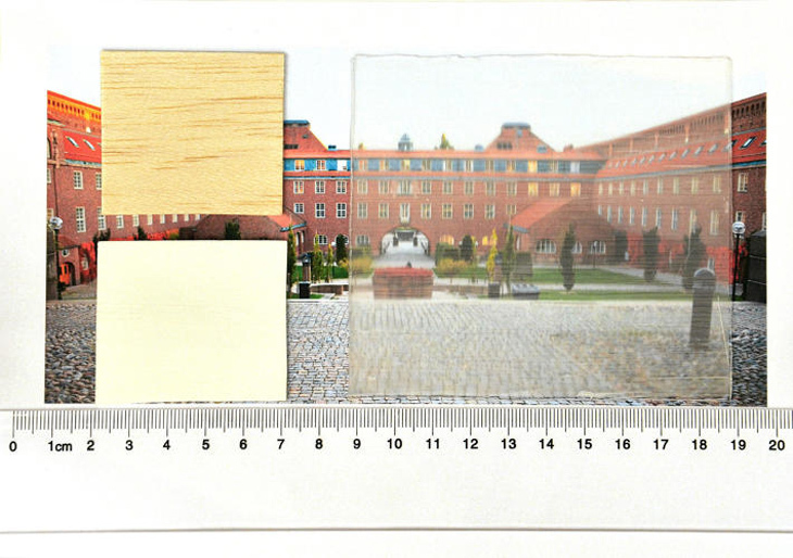 transparent_wood2.jpg