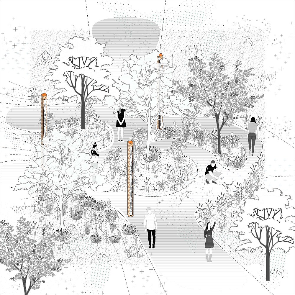 X002-AXON DİYAGRAM.jpg