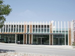 koop (1).jpg