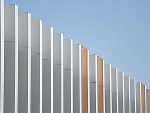 koop (3).jpg