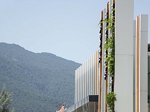 koop (7).jpg