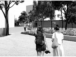 avlu (9).jpg