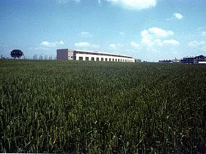 atk-pix06.jpg