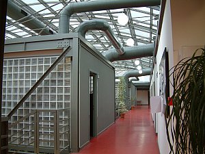 DSCF0026.JPG