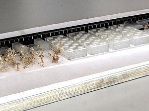 mak03.jpg