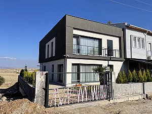 algul (2).JPG