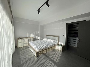 algul (20).JPG