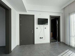 algul (23).JPG