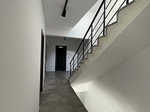 algul (24).JPG