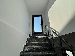 algul (28).JPG