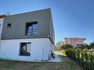 algul (5).JPG