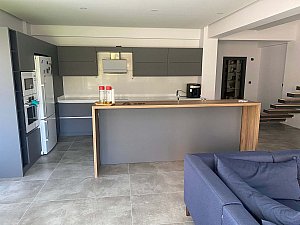 algul (7).JPG