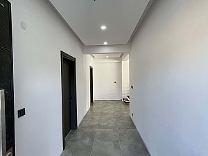 algul (8).JPG