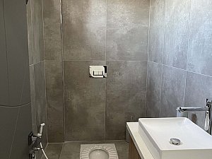 algul (9).JPG