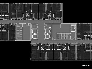 z (2).jpg