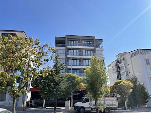 IMG_1773.JPG