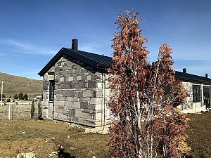 bas_evi (4).jpg