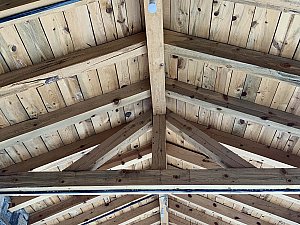 bas_evi (6).jpg