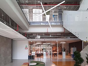 cemilhan_5.jpg