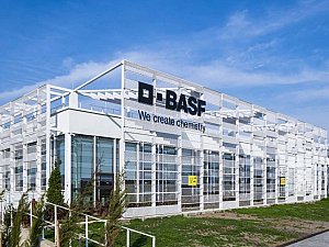 basf_amnset123.jpg