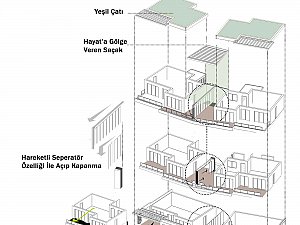hayat diagram.jpg