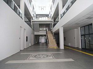 11.JPG