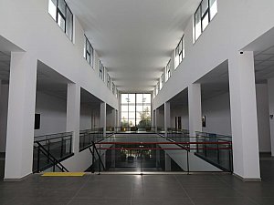 5.JPG