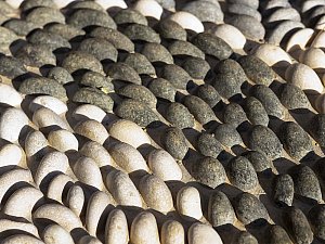 IMG_9216.jpg