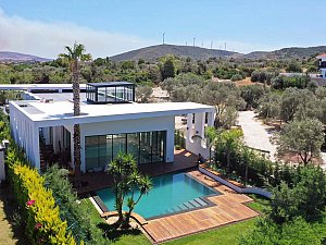 casadino (1).JPG