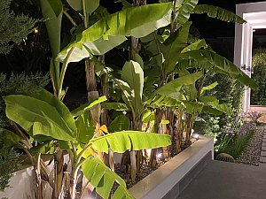 casadino (14).jpg