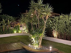 casadino (16).jpg