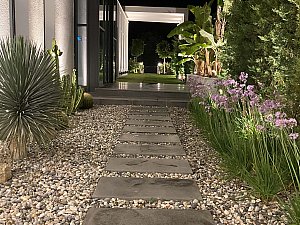 casadino (17).jpg