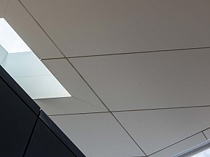 DLG-010.jpg