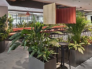 20200514_enocta_office_Acararch (13).jpg