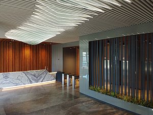 1 (19).jpg