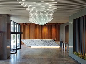 1 (20).jpg