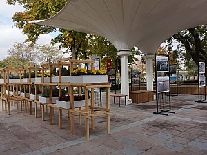 AnkaraAks Gençlik Parkı Etkinlik Alanı_6.jpg