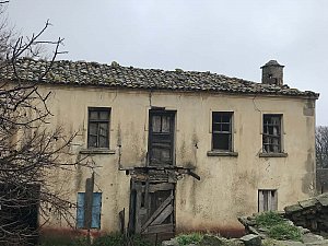 y (3).JPG