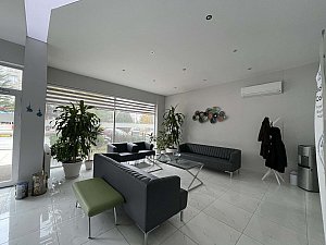 IMG_1988.jpeg.jpg