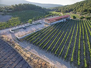 DJI_0035-1.jpg